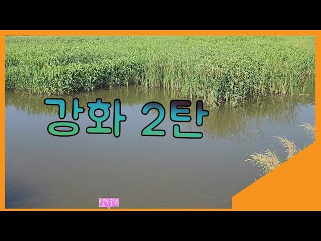 포인트 형성 최고!인데.. 개매너 똥꾼 최악! 복불복이구만.. / 강화도 2탄 망실지.