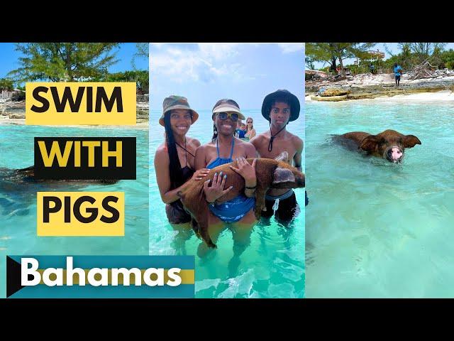 ULTIMATE Guide to Swimming with Pigs in the Bahamas 2024 ️