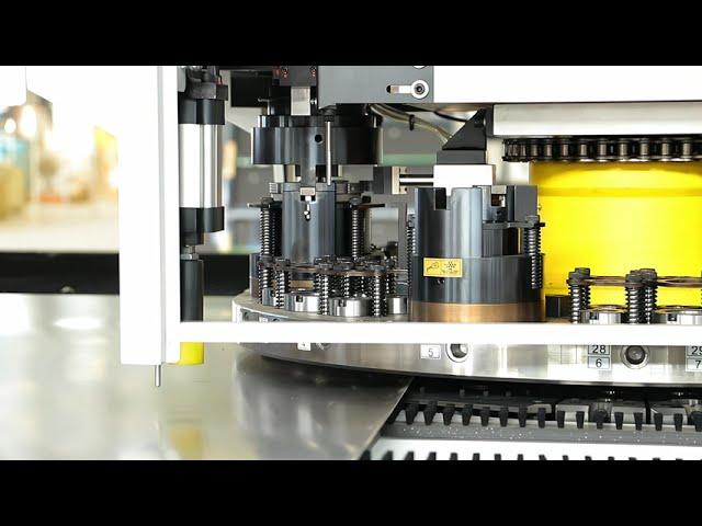 DARDONTECH CNC TURRET PUNCH PRESS with Multi-Tools