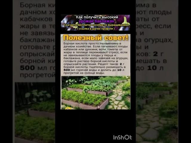 полезные советы для огорода.