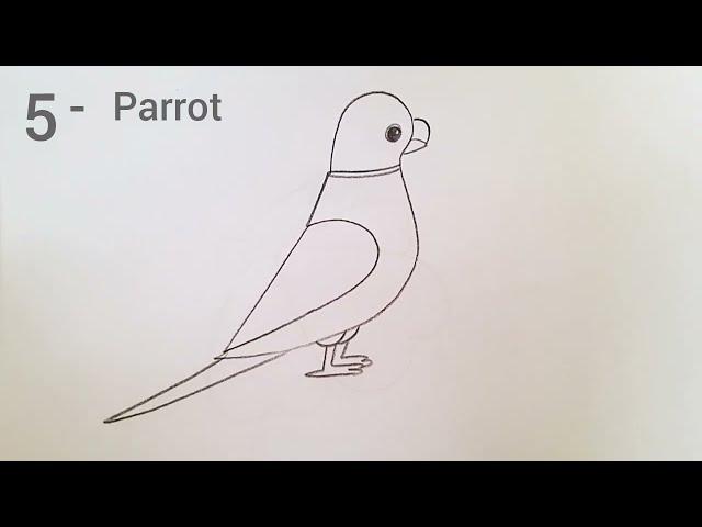 how to parrot drawing from 5 number easy step by step@DrawingTalent