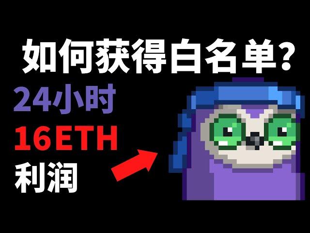 获得NFT项目白名单的9种方法｜24小时16ETH利润【最稳的NFT赚钱方法】