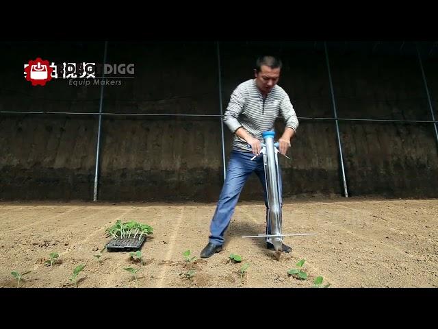 Seedling planter or transplanter