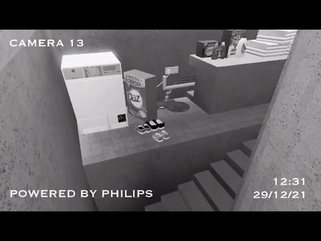 Roblox washing falls down cellar stairs