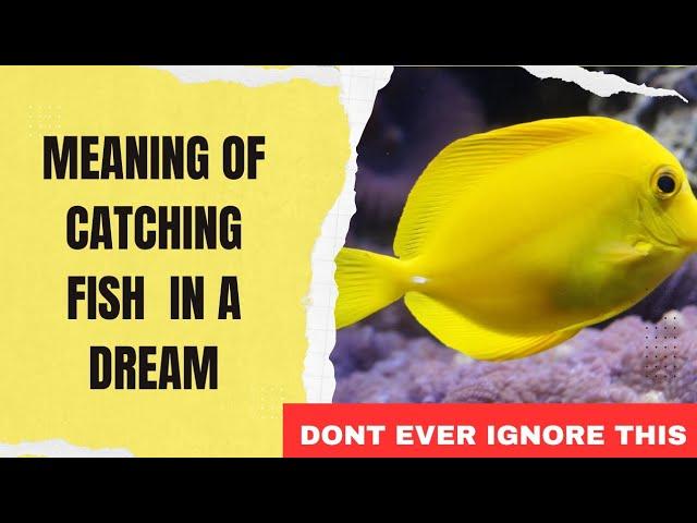 Catching Fish Dream Meaning | Dream about Catching Fish