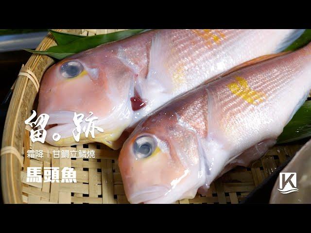 留。跡｜EP6－霜降：馬頭魚 甘鯛立鱗燒