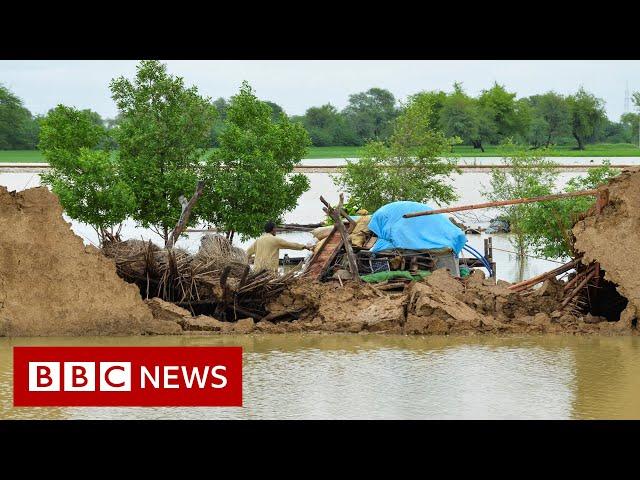 Pakistan floods: Government declares national emergency – BBC News