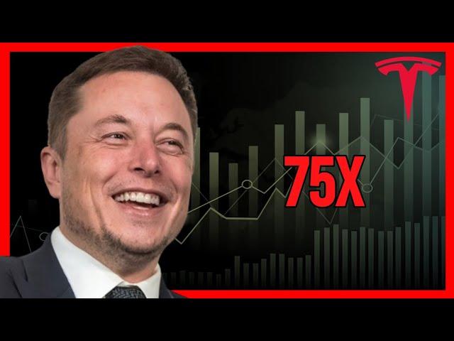 How Tesla Retail Investors Outsmarted Wall St