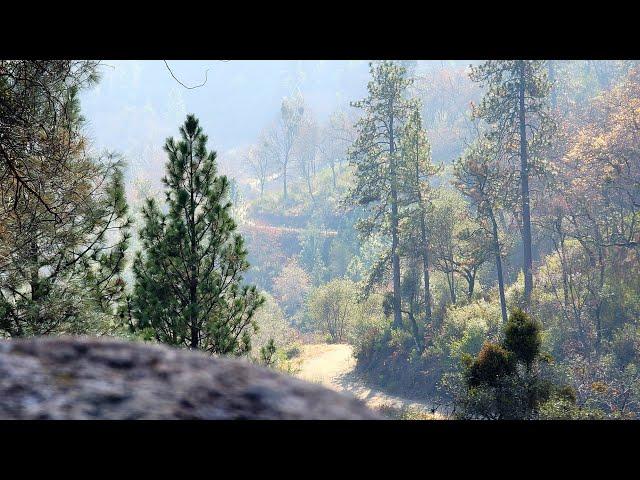 Robbie Point Trail| Auburn, Ca