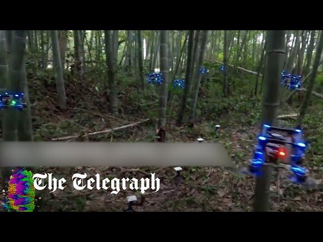 Researchers teach swarm of drones to navigate forest without crashing