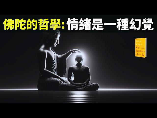 佛陀的哲學:情緒是一種幻覺,用修行治癒精神內耗 | 暢銷書《洞見》解讀(聽書,進化心理學,正念冥想,焦慮,抑鬱症,佛學,人生智慧,無常)