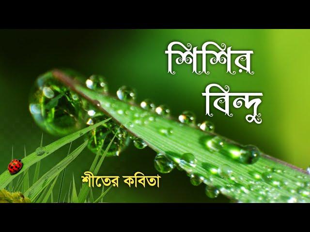 শীতের কবিতা l Shiter Kobita l শিশির বিন্দু l Rinku Debnath Kobita