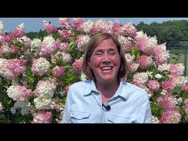 Protecting Hydrangeas with Melinda Myers