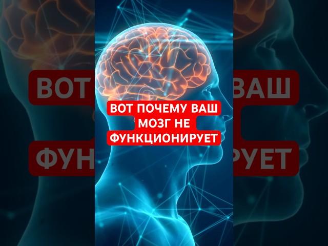 ТОП 5 ФАКТОВ О МОЗГЕ. #здоровье