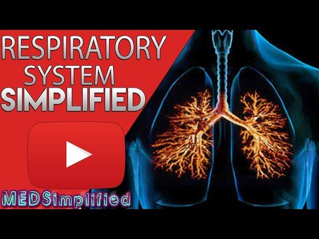 Respiratory System Made Easy