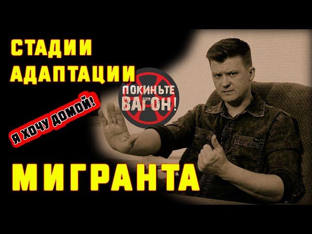 Стадии адаптации мигранта/ПОКИНЬТЕ ВАГОН!