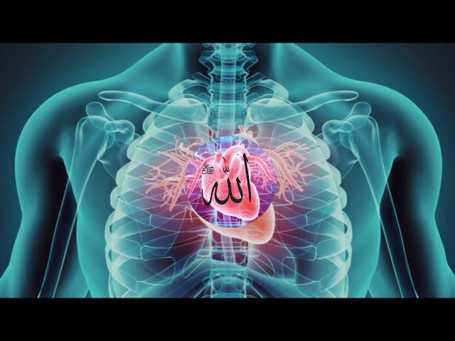 1 hour Turkish 8D Zikr Allah (use headphone)  |   Zikir ALLAH | الله | Zikr Allah Allah Allah  