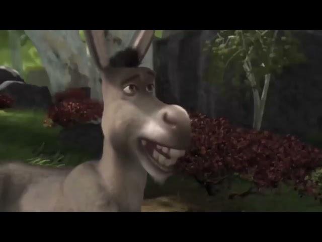 Shrek but its only 10 seconds a day and every second is random 379