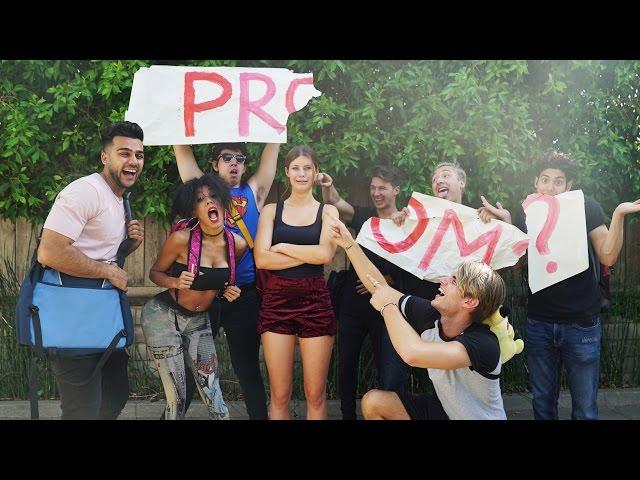 Prom | Hannah Stocking