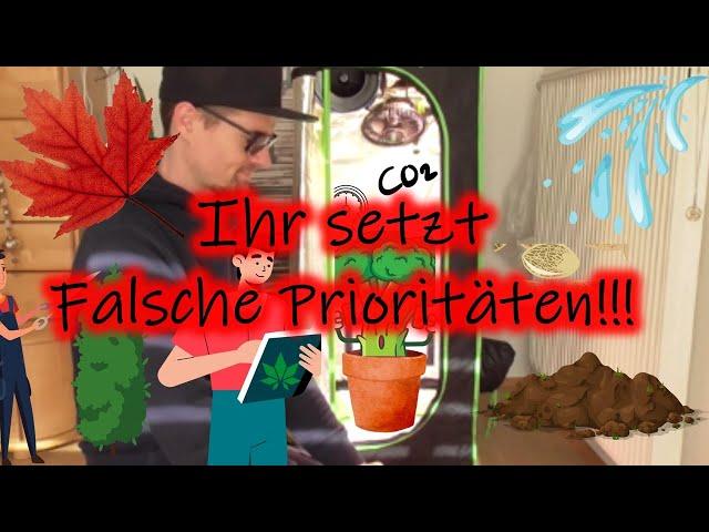 17 Wege zu mehr Effizienz im Growzelt  | Indoor Grow optimieren | Ertrag erhöhen