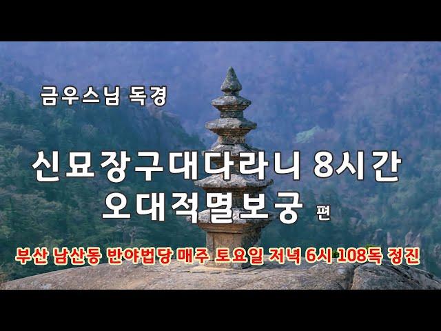 금우스님 신묘장구대다라니 8시간 / 빠른독경/오대적멸보궁 삼대관음도량 배경