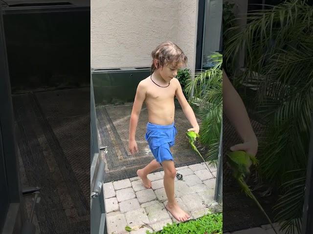 The Joys of Homeschools: Kid Jumps in Pool to Rescue Iguana!