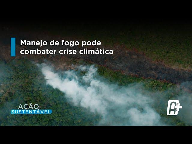 Pesquisa Explorou Novo Padrão de Uso do Fogo na Amazônia.