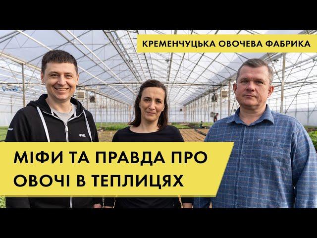 Що потрібно знати про тепличне вирощування овочів: Кременчуцька овочева фабрика | Куркуль