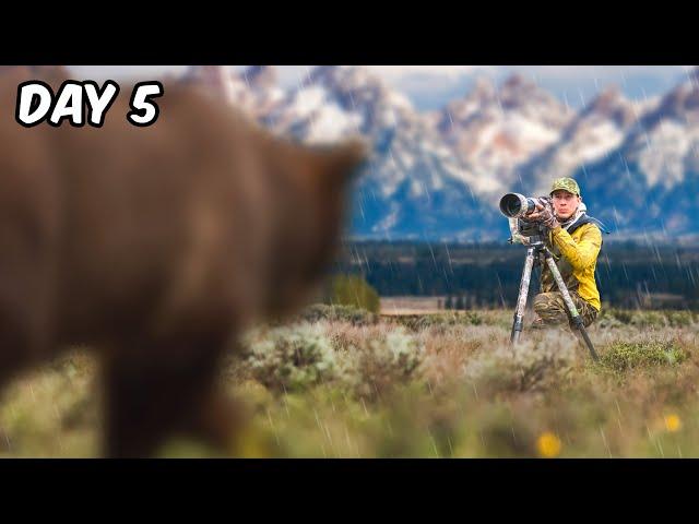 Once in a Lifetime Experience in Yellowstone