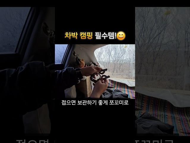 다이소 2개천원! 차박캠핑 필수템