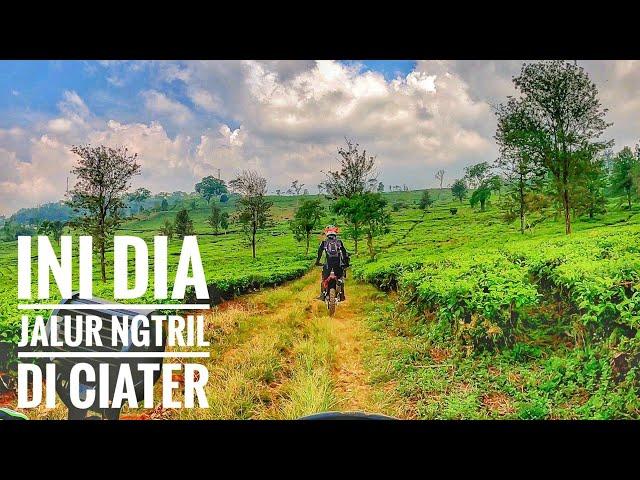 SERUNYA NGTRIL DI KEBUN TEH CIATER | JALUR TRABASAN DI CIATER LEMBANG