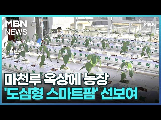 마천루 옥상에 농장…'도심형 스마트팜' 선보여 [굿모닝 MBN]