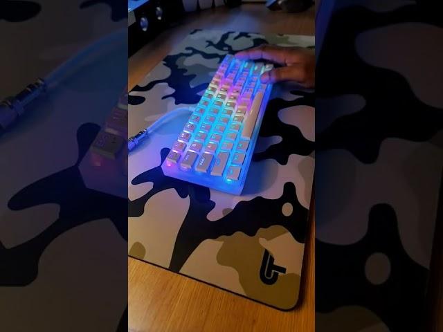 Womier WK61 mechanical keyboard lights