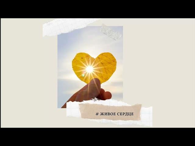 ЖИВОЕ СЕРДЦЕ