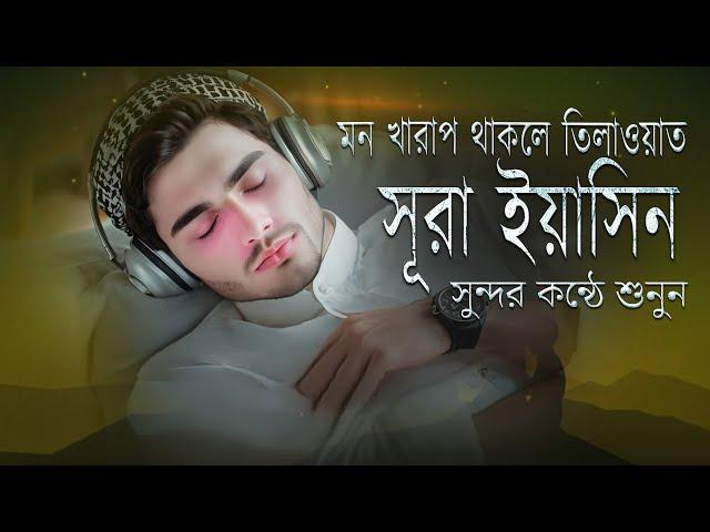 (প্রতিদিন সকালে শুনুন) সুন্দর কন্ঠে সূরা ইয়াসিন | Sundar Quran Tilawat | Surah Yaseen/Yasin