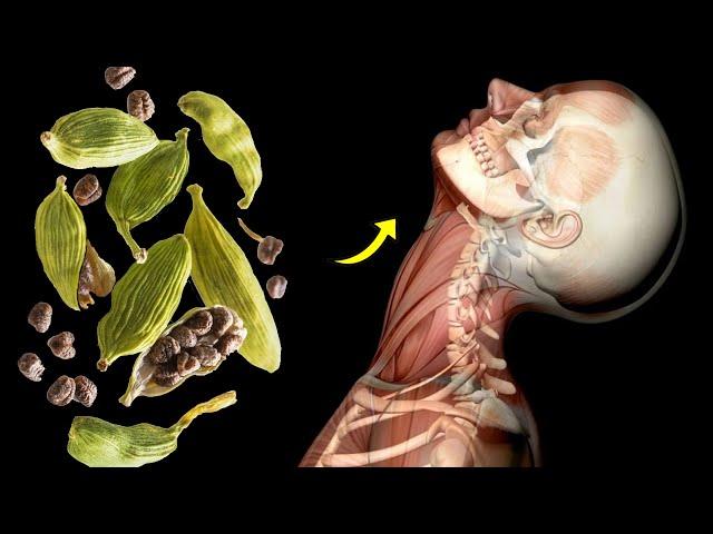 What Happens To Your Body When You Add Cardamom To Your Food Every Day