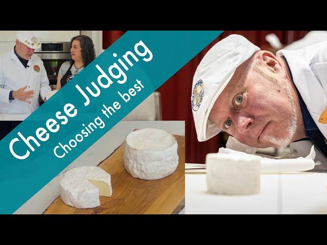 What Makes a Cheese a Winner? A Cheese Judge Shows You How to Judge a Cheese