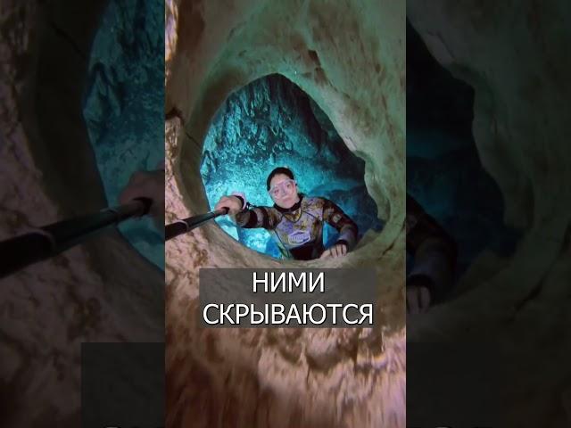Девушка ЗАЛЕЗАЕТ в пещеры под водой: Клаустрофобы тут?