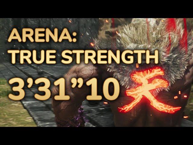 [MH Wilds] Arena: True Strength 3'31"10 (Akuma)