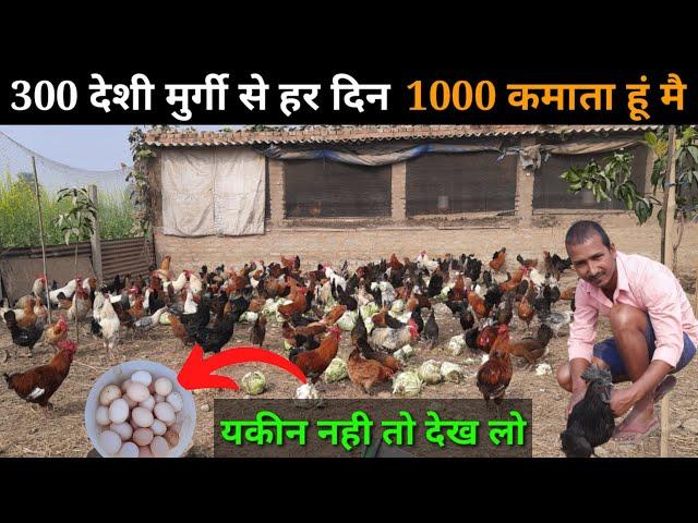 सिर्फ 300 देशी मुर्गी से हर दिन 1000 कमाता हूं  free ranj deshi poultry farm  #deshimurgipalan