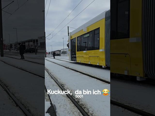 "KUCKUCK,  DAA BIN ICH" 