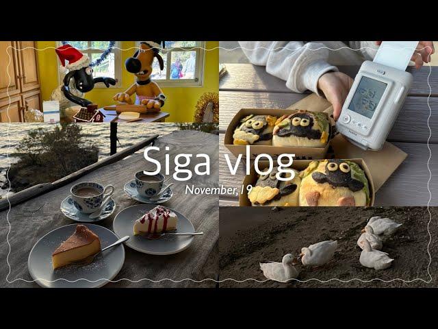 【vlog】滋賀ドライブ⋮念願ひつじのショーンファームガーデン⋮ローザンベリー多和田⋮ 個性出まくりパン作り ⋮ずっと行きたかったシャーレ水ヶ浜