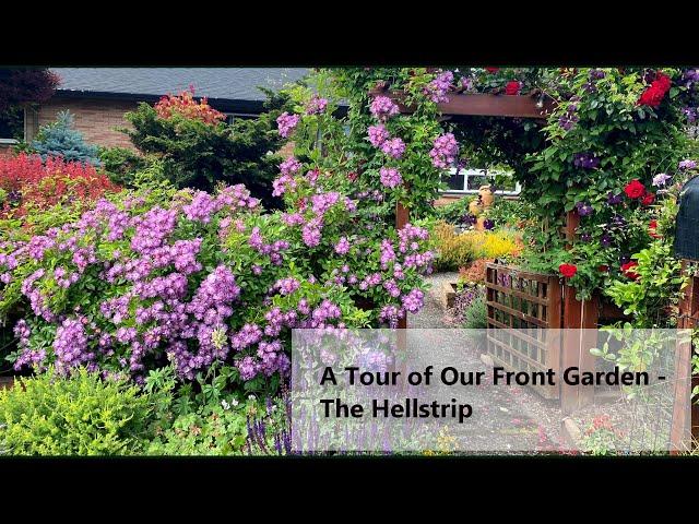 A Tour of Our Front Garden - The Hellstrip