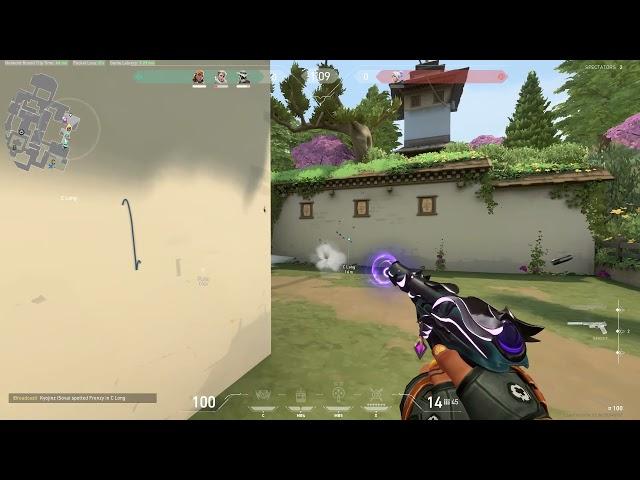 How i reached Radiant using 10000IQ Raze nades