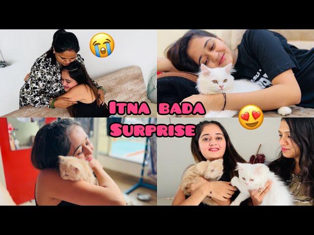 My Lifes Best Surprise Gift frm Mummy Papa ️ Bindass Kavya Got Two Most beautiful Cats 