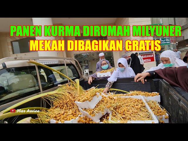 PANEN KURMA DIRUMAH MILYUNER MAKKAH DIBAGIKAN GRATIS KEJAMAAH HAJI