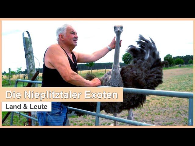 Die Nieplitztaler Exoten | Land & Leute