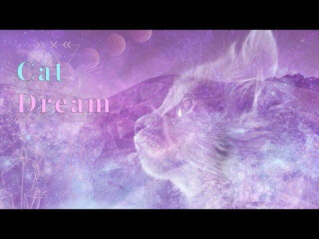 Dream Of CATS?   YOUR SECRET Spiritual Message  |COLLAB WITH @Auntyflo  