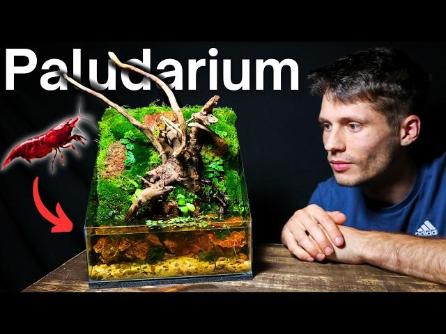 I Made a Flowing Moss Wall Paludarium For Cherry Shrimp, Here’s How!