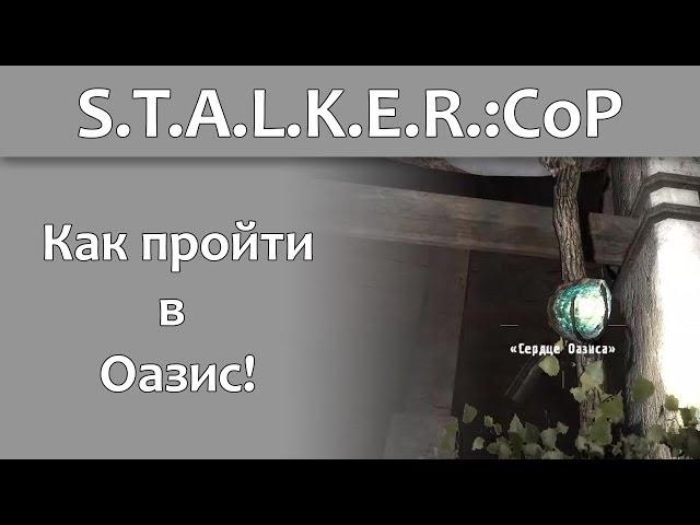 Как пройти в Оазис в S.T.A.L.K.E.R. Зов Припяти